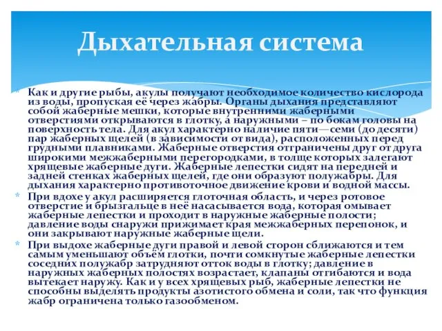 Как и другие рыбы, акулы получают необходимое количество кислорода из воды,