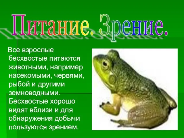 Все взрослые бесхвостые питаются животными, например насекомыми, червями, рыбой и другими