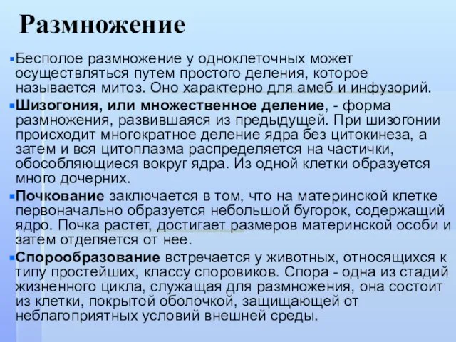 Размножение Бесполое размножение у одноклеточных может осуществляться путем простого деления, которое