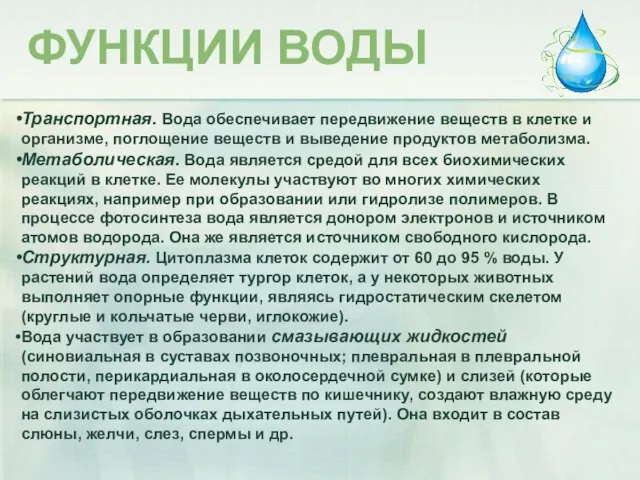 ФУНКЦИИ ВОДЫ Транспортная. Вода обеспечивает передвижение веществ в клетке и организме,