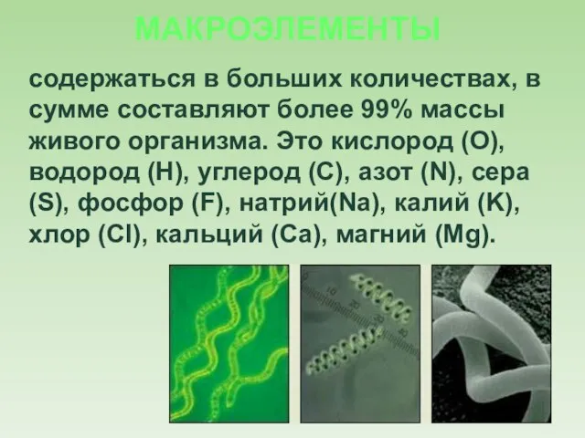 МАКРОЭЛЕМЕНТЫ содержаться в больших количествах, в сумме составляют более 99% массы