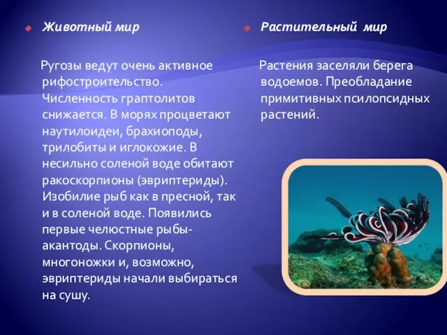 Животный мир Ругозы ведут очень активное рифостроительство. Численность граптолитов снижается. В