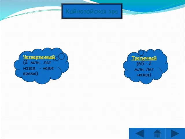 Кайнозойская эра Третичный (65 - 2 млн. лет назад) Четвертичный (2