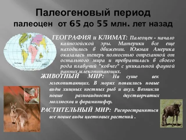 Палеогеновый период палеоцен от 65 до 55 млн. лет назад ГЕОГРАФИЯ