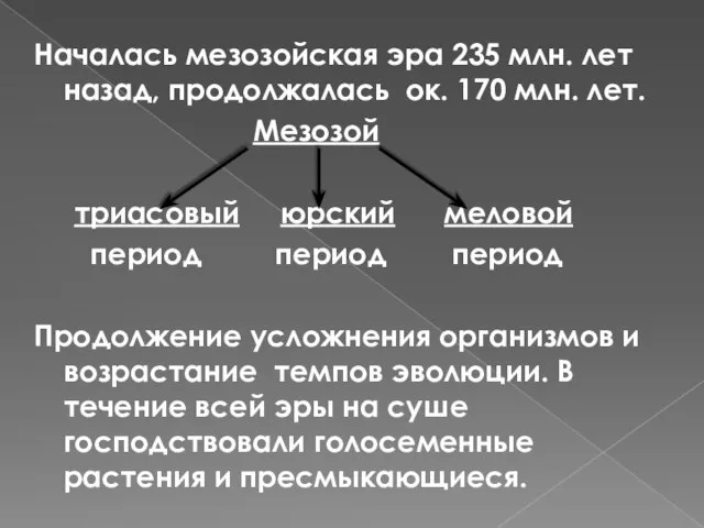 Началась мезозойская эра 235 млн. лет назад, продолжалась ок. 170 млн.