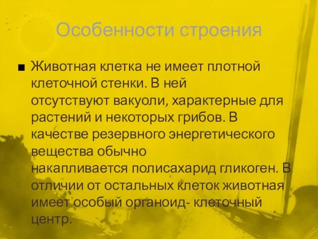 Особенности строения Животная клетка не имеет плотной клеточной стенки. В ней