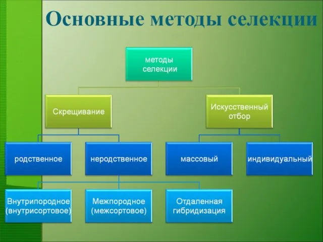 Основные методы селекции