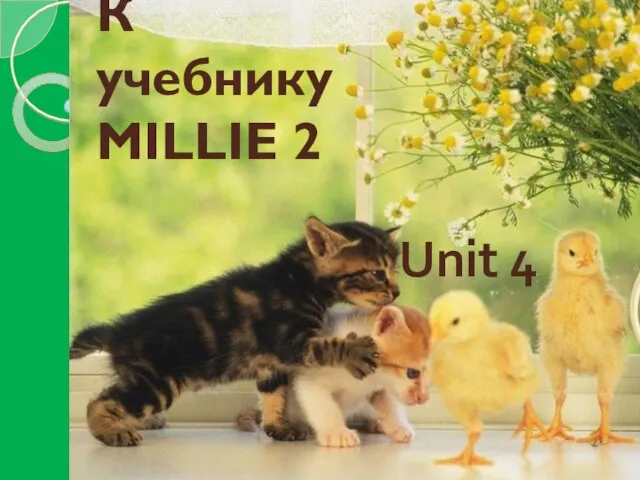 К учебнику MILLIE 2 Unit 4