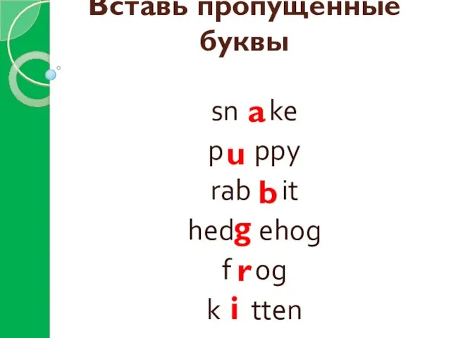 Вставь пропущенные буквы sn ke p ppy rab it hed ehog