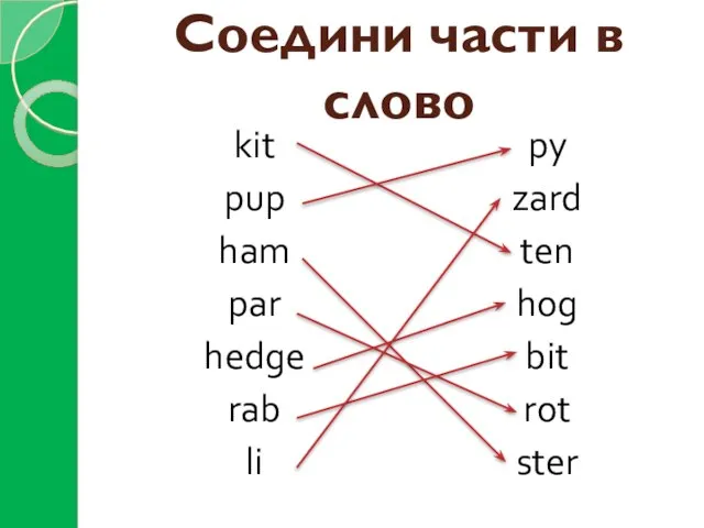 Соедини части в слово kit pup ham par hedge rab li