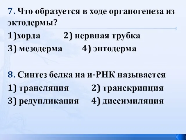 7. Что образуется в ходе органогенеза из эктодермы? 1)хорда 2) нервная