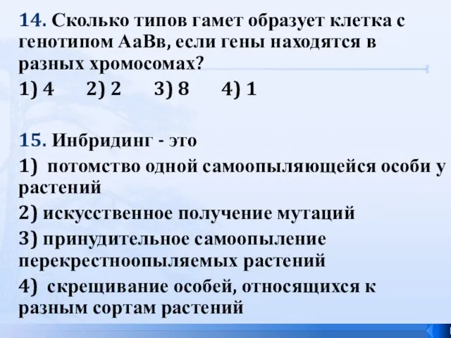 14. Сколько типов гамет образует клетка с генотипом АаВв, если гены