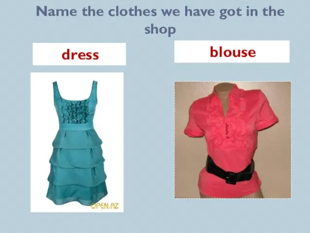 Name the clothes we have got in the shop dress blouse