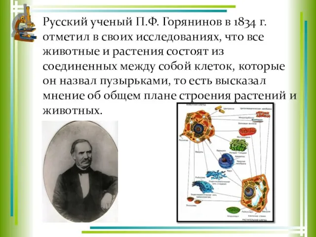 Русский ученый П.Ф. Горянинов в 1834 г. отметил в своих исследованиях,