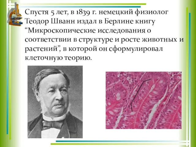 Спустя 5 лет, в 1839 г. немецкий физиолог Теодор Шванн издал