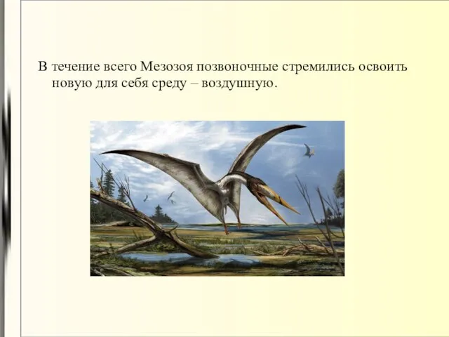 В течение всего Мезозоя позвоночные стремились освоить новую для себя среду – воздушную.