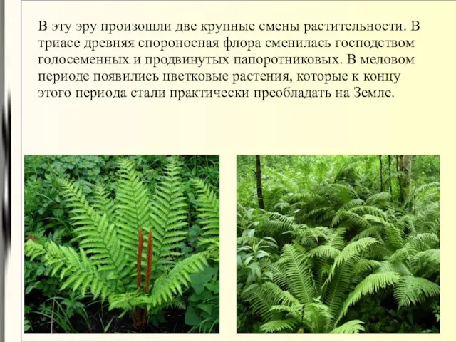 В эту эру произошли две крупные смены растительности. В триасе древняя