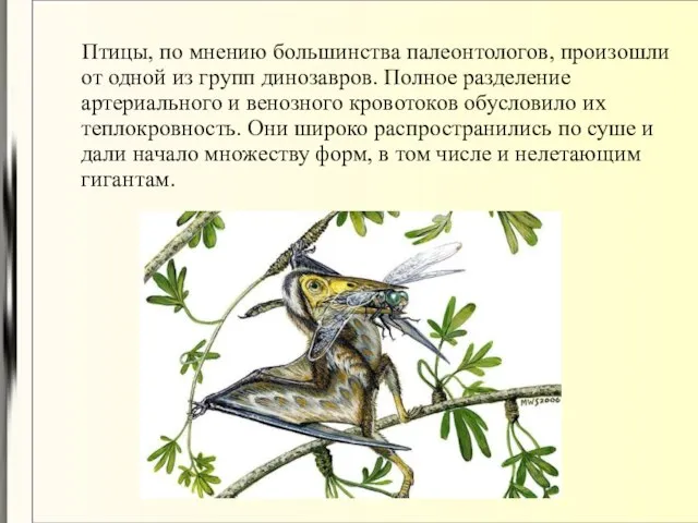 Птицы, по мнению большинства палеонтологов, произошли от одной из групп динозавров.