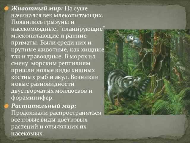 Животный мир: На суше начинался век млекопитающих. Появились грызуны и насекомоядные,