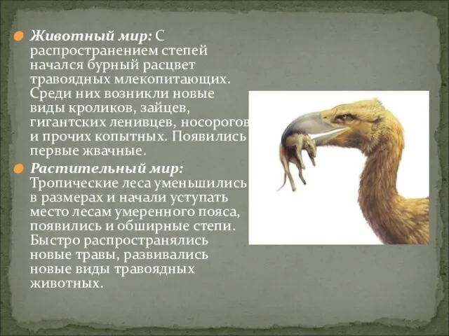 Животный мир: С распространением степей начался бурный расцвет травоядных млекопитающих. Среди