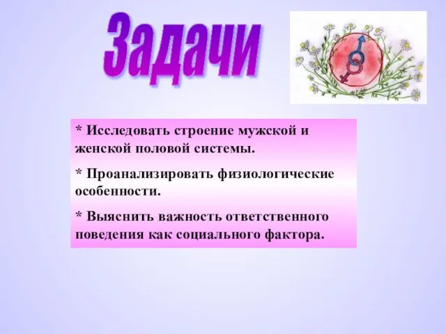 Задачи * Исследовать строение мужской и женской половой системы. * Проанализировать