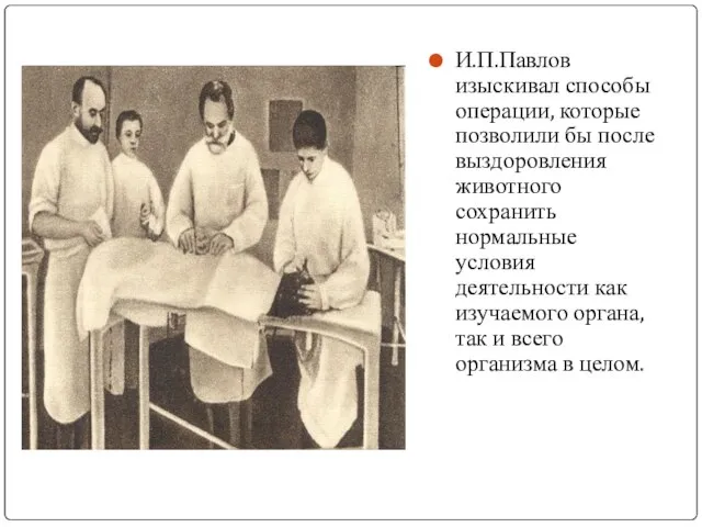 И.П.Павлов изыскивал способы операции, которые позволили бы после выздоровления животного сохранить