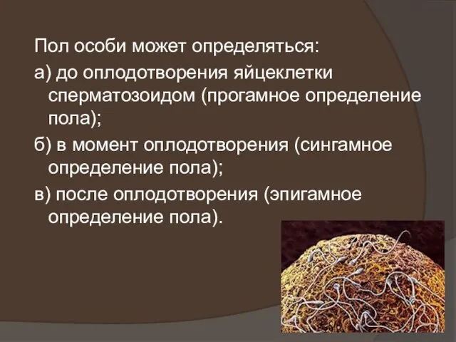 Пол особи может определяться: а) до оплодотворения яйцеклетки сперматозоидом (прогамное определение