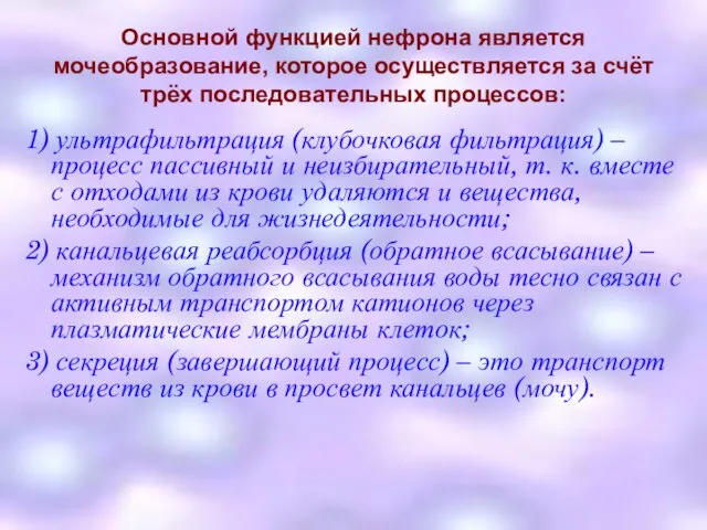 Основной функцией нефрона является мочеобразование, которое осуществляется за счёт трёх последовательных