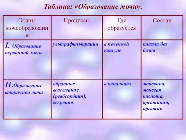 Таблица: «Образование мочи».