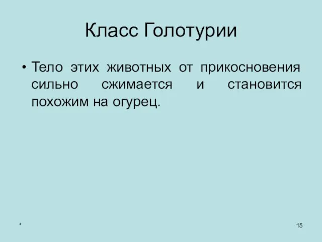 * Класс Голотурии Тело этих животных от прикосновения сильно сжимается и становится похожим на огурец.