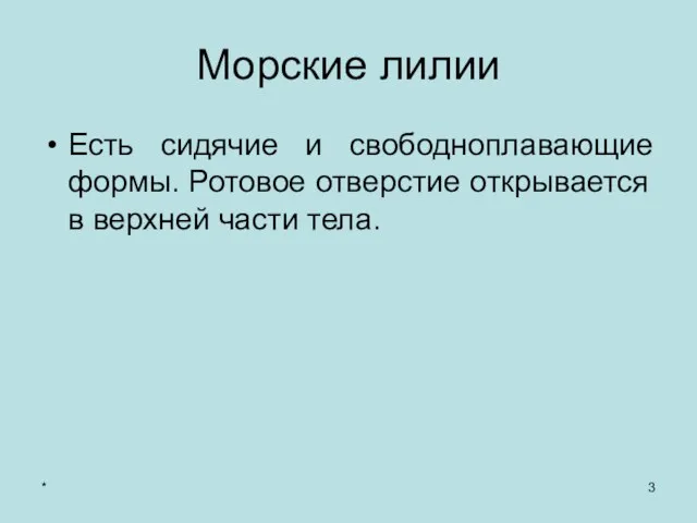 * Морские лилии Есть сидячие и свободноплавающие формы. Ротовое отверстие открывается в верхней части тела.