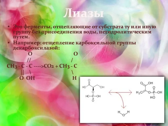 Лиазы Это ферменты, отщепляющие от субстрата ту или иную группу без