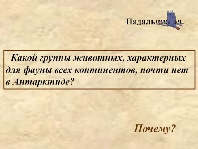 Какой группы животных, характерных для фауны всех континентов, почти нет в Антарктиде? Падальщиков. Почему?