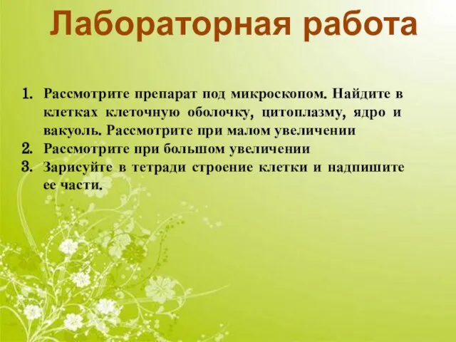 Лабораторная работа Рассмотрите препарат под микроскопом. Найдите в клетках клеточную оболочку,