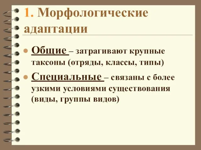 1. Морфологические адаптации Общие – затрагивают крупные таксоны (отряды, классы, типы)