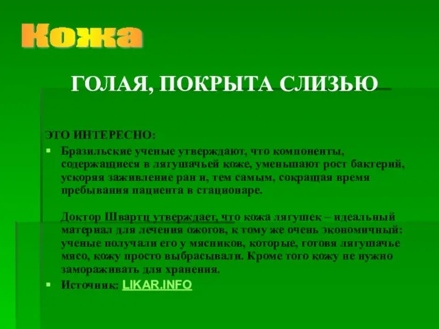 ЭТО ИНТЕРЕСНО: Бразильские ученые утверждают, что компоненты, содержащиеся в лягушачьей коже,