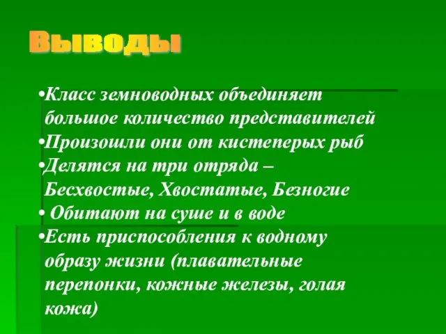 Выводы Класс земноводных объединяет большое количество представителей Произошли они от кистеперых