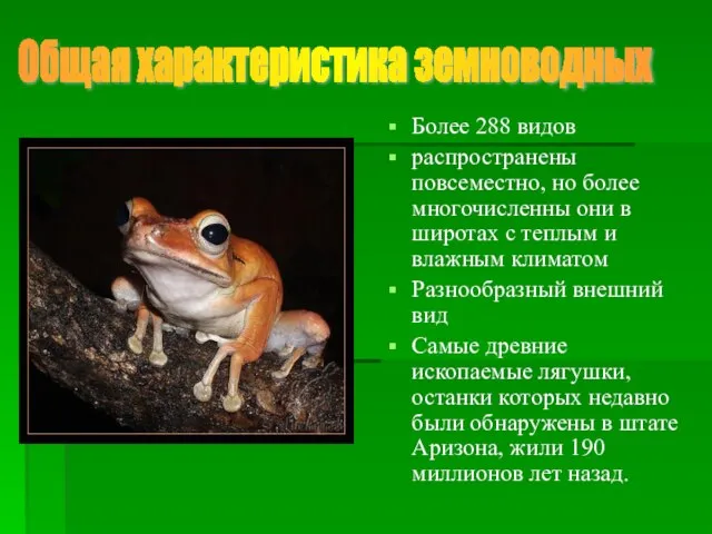 Более 288 видов распространены повсеместно, но более многочисленны они в широтах