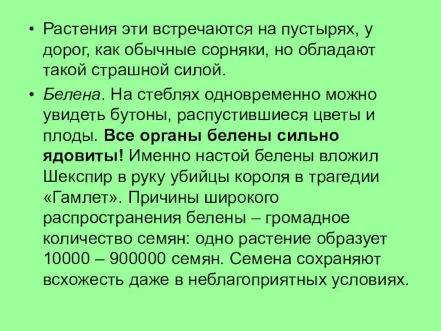 Растения эти встречаются на пустырях, у дорог, как обычные сорняки, но