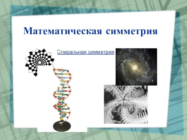 Математическая симметрия Спиральная симметрия