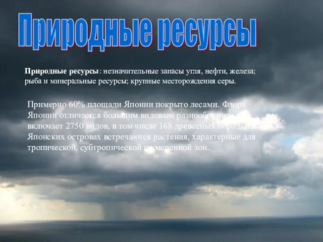 Примерно 60% площади Японии покрыто лесами. Флора Японии отличается большим видовым