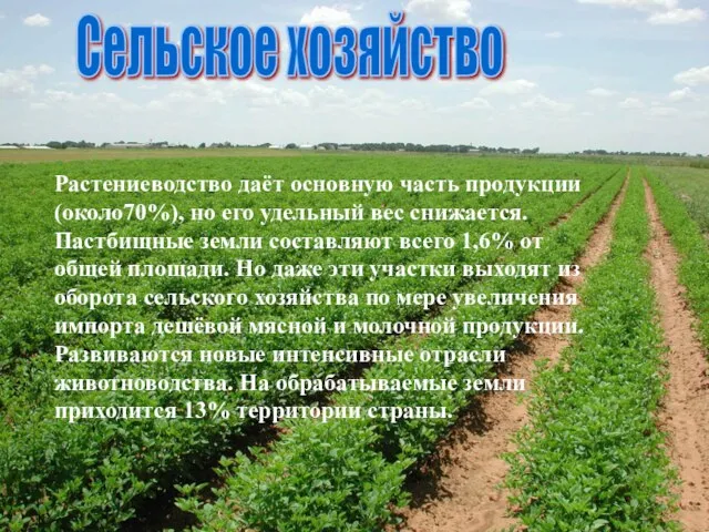 Растениеводство даёт основную часть продукции (около70%), но его удельный вес снижается.