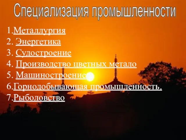 1.Металлургия 2. Энергетика 3. Судостроение 4. Производство цветных метало 5. Машиностроение