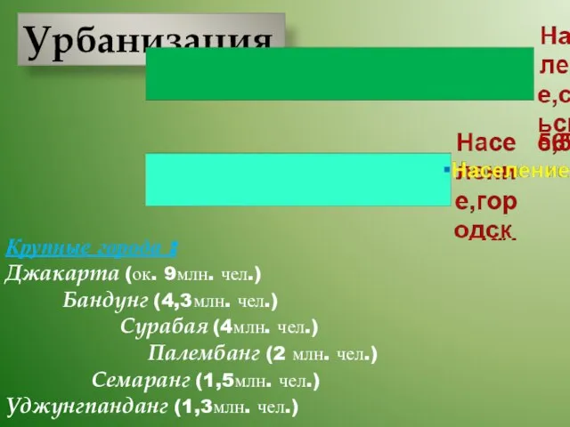 Урбанизация Крупные города : Джакарта (ок. 9млн. чел.) Бандунг (4,3млн. чел.)