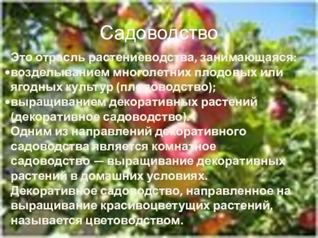 Садоводство Это отрасль растениеводства, занимающаяся: возделыванием многолетних плодовых или ягодных культур