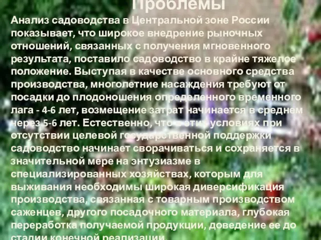 Проблемы Анализ садоводства в Центральной зоне России показывает, что широкое внедрение