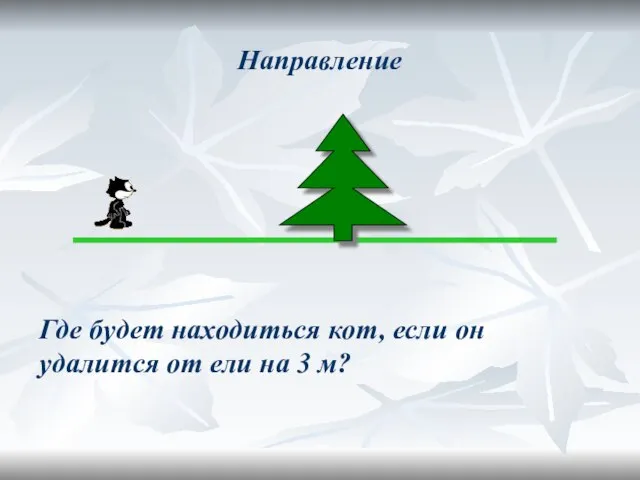 Направление Где будет находиться кот, если он удалится от ели на 3 м?