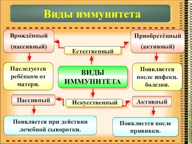 ВИДЫ ИММУНИТЕТА Естественный Искусственный Врождённый (пассивный) Приобретённый (активный) Пассивный Активный Наследуется