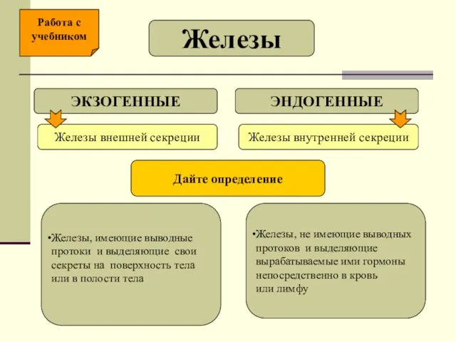 Железы ЭКЗОГЕННЫЕ ЭНДОГЕННЫЕ Железы внешней секреции Железы внутренней секреции Дайте определение