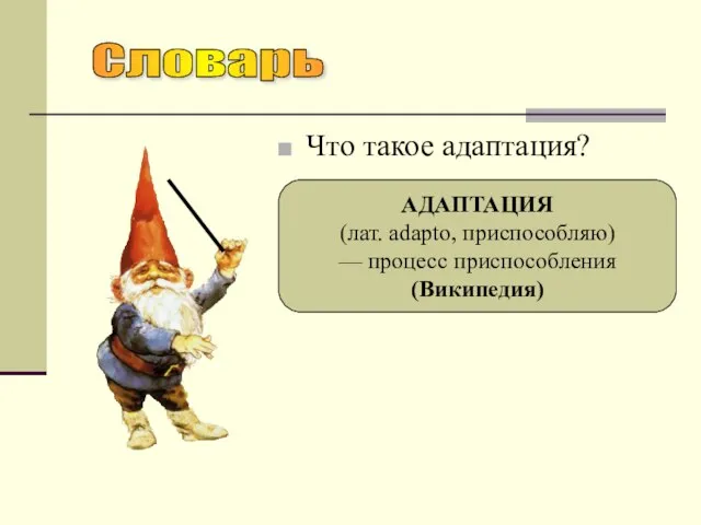 Что такое адаптация? АДАПТАЦИЯ (лат. adapto, приспособляю) — процесс приспособления (Википедия) Словарь